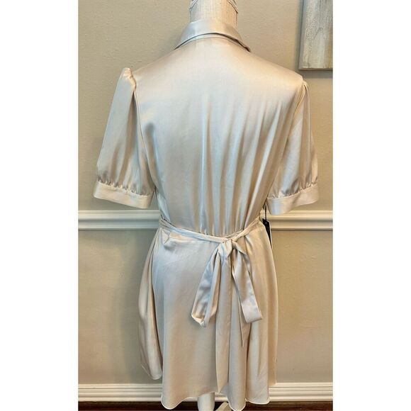 Aritzia Babaton Matte Pearl Dress Size Large NWT - Picture 5 of 8
